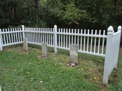 Poor House Cemetery image. Click for full size.