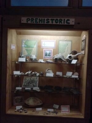 Prehistoric artifacts in Arch Creek Museum Display image. Click for full size.