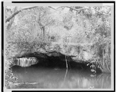 Arch Creek, Miami, Florida image. Click for full size.