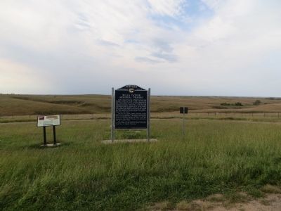 Willa Cather Memorial Prairie Marker. Click for full size. Willa Cather Memorial Prairie Marker image. Click for full size.