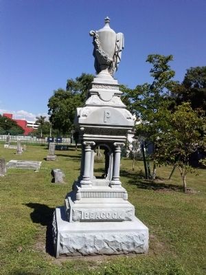 Tombstone of the Peacock Family image. Click for full size.