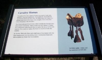 Cavalry Horses Marker image. Click for full size.