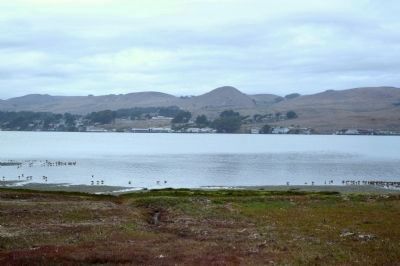 The Town of Bodega Bay and Harbor image. Click for full size.