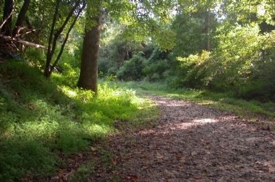 Tobacco Road Trail. Click for full size. Tobacco Road Trail image. Click for full size.