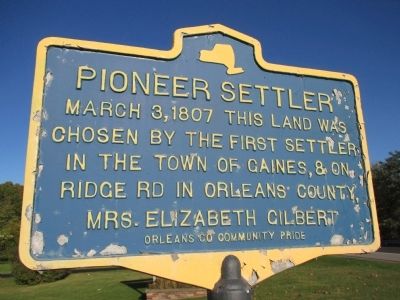 Pioneer Settler Marker image. Click for full size.