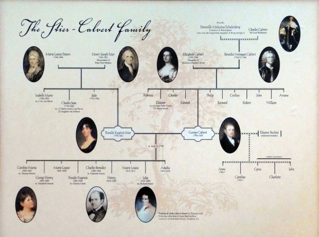 Stier-Calvert Family Tree image. Click for full size.