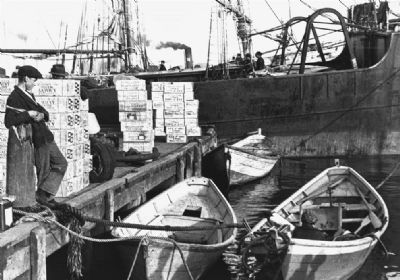 Loading champagne at St. Pierre image. Click for full size.