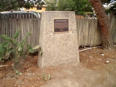 Tres Pinos/Paicines Marker. Click for full size. Tres Pinos/Paicines Marker image. Click for full size.