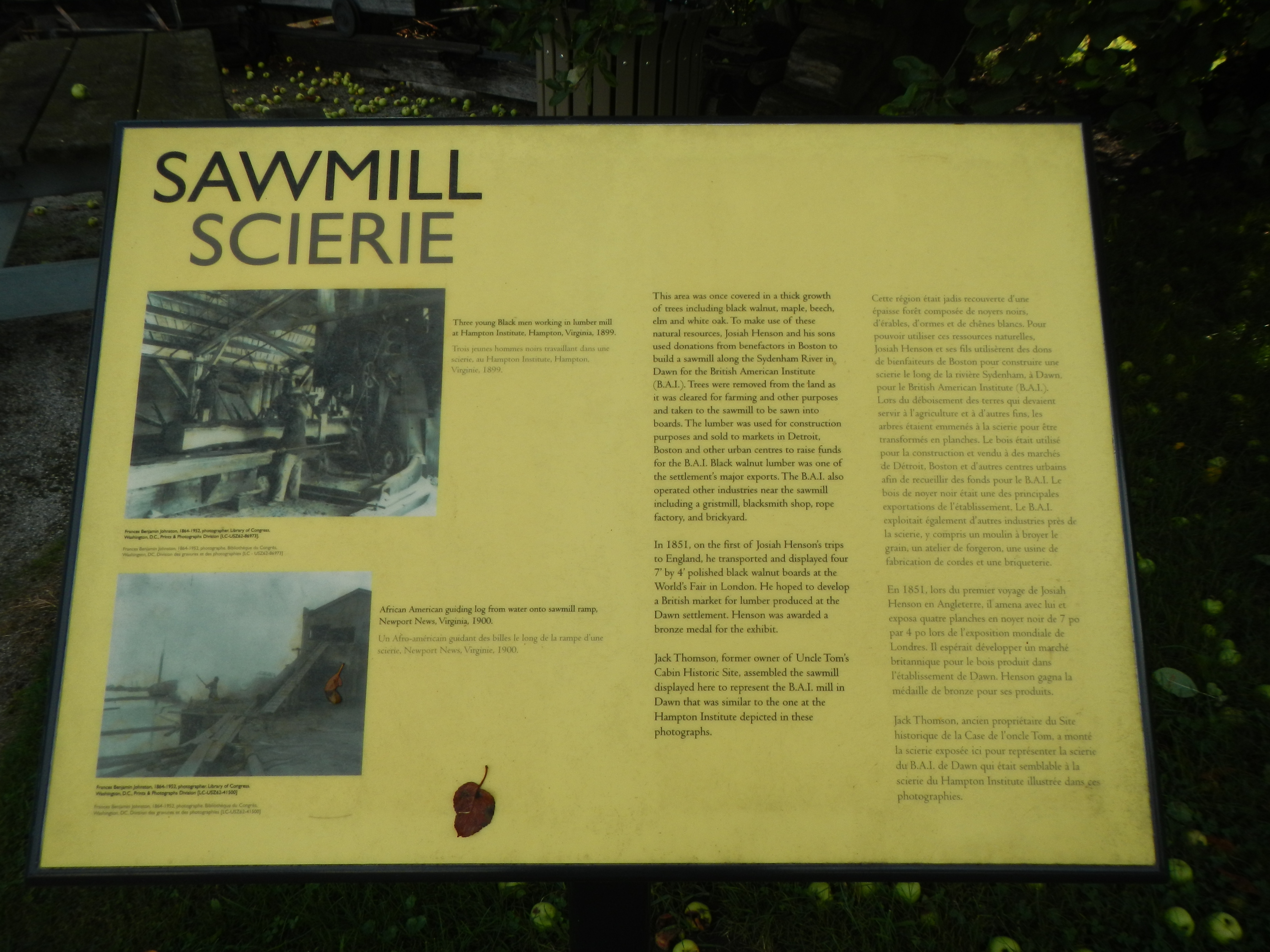 Sawmill Marker