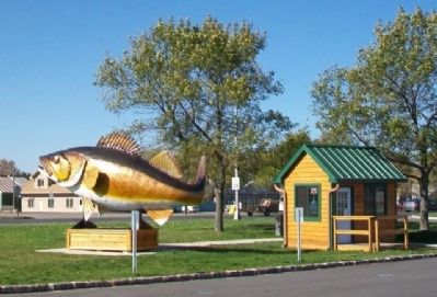 Lake Mille Lacs Walleye. Click for full size. Lake Mille Lacs Walleye image. Click for full size.