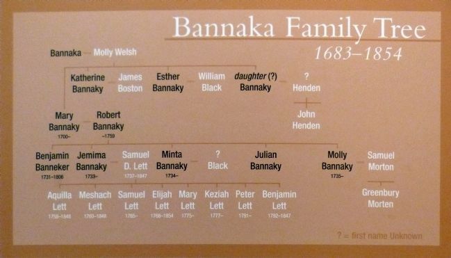 Bannaka Family Tree<br>1683-1854. Click for full size. Bannaka Family Tree<br>1683-1854 image. Click for full size.