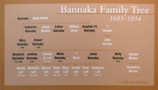 Bannaka Family Tree<br>1683-1854 image. Click for full size.