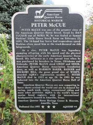 Peter McCue Marker image. Click for full size.