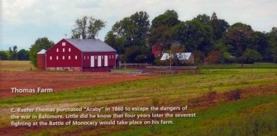 Araby - The Thomas Farm image. Click for full size.