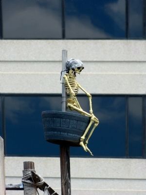 Pirate Skeleton. Click for full size. Pirate Skeleton image. Click for full size.