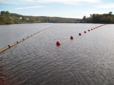 Saint Croix River Impoundment Area. Click for full size. Saint Croix River Impoundment Area image. Click for full size.