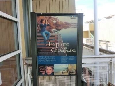 Explore the Chesapeake-Marker at the entrance to the Dorchester County Visitor Center image. Click for full size.