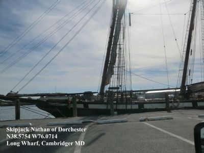 Long Wharf-The Skipjack Nathan of Dorchester image. Click for full size.