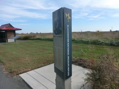 Blackwater National Wildlife Refuge Marker image. Click for full size.