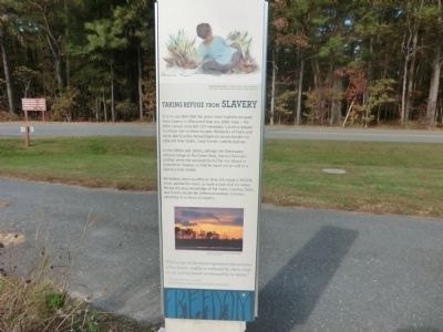Blackwater National Wildlife Refuge Marker image. Click for full size.