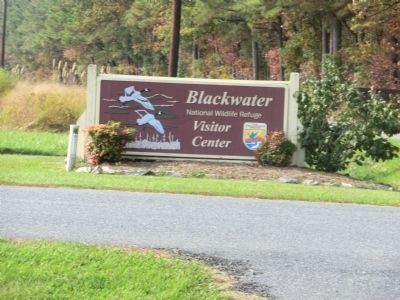 Entrance sign to the Blackwater National Wildlife Refuge. Click for full size. Entrance sign to the Blackwater National Wildlife Refuge image. Click for full size.