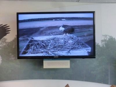 Monitor inside the Visitor Center of a Eagle's Nest located outside image. Click for full size.