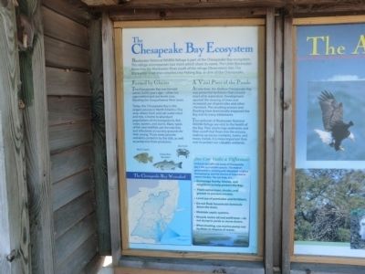 The Chesapeake Bay Ecosystem Marker image. Click for full size.