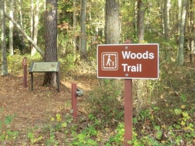 Delmarva Peninsula Fox Squirrel Marker image. Click for full size.
