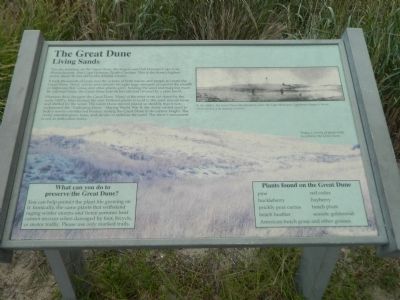 The Great Dune Marker image. Click for full size.