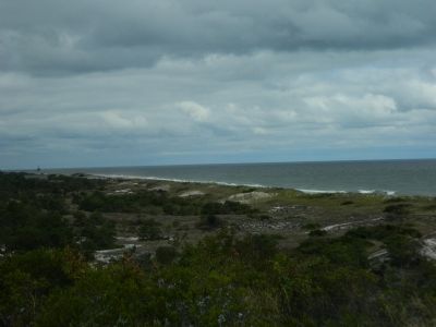 View of Delaware Bay from the Great Dune. image. Click for full size.