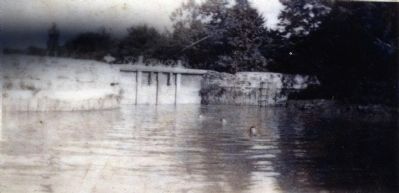Swimming. Click for full size. Swimming image. Click for full size.