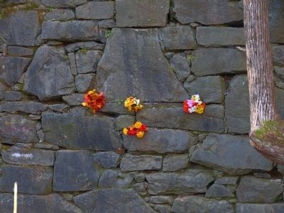 Flowers in the Dam Wall. Click for full size. Flowers in the Dam Wall image. Click for full size.