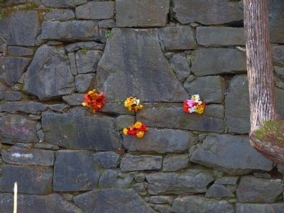 Flowers in the Dam Wall image. Click for full size.