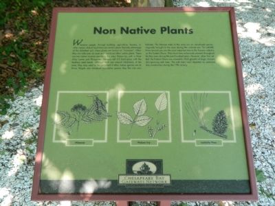 Non Native Plants Marker image. Click for full size.