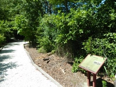 Welcome Marker at trail beginning. Click for full size. Welcome Marker at trail beginning image. Click for full size.