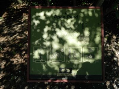 Open Pond Marker image. Click for full size.