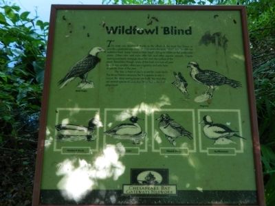 Wildfowl Blind Marker image. Click for full size.
