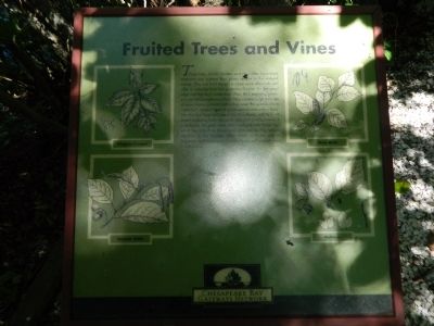 Fruited Trees and Vines Marker image. Click for full size.