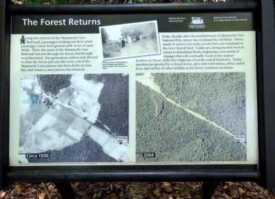 The Forest Returns Marker. Click for full size. The Forest Returns Marker image. Click for full size.