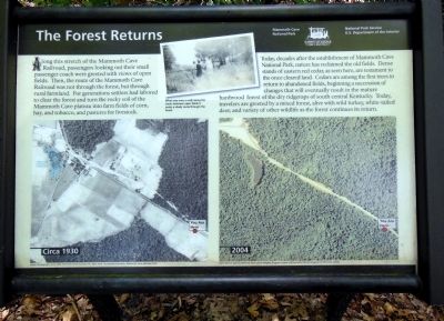 The Forest Returns Marker image. Click for full size.