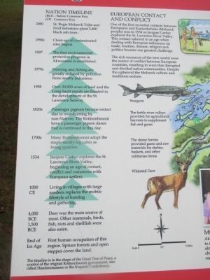 Left Detail - Akwesasne Marker image. Click for full size.