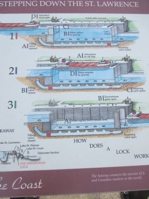 Center Detail - Eisenhower Lock Marker image. Click for full size.