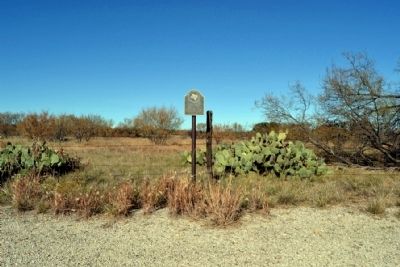 Burkett Pecan Tree Marker image. Click for full size.