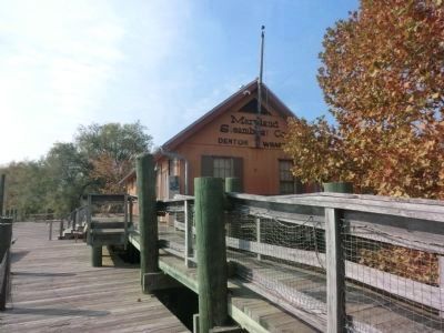 Choptank River Heritage Center-Maryland Steamboat Co. image. Click for full size.