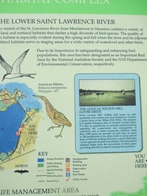 Right Detail image. Click for full size.