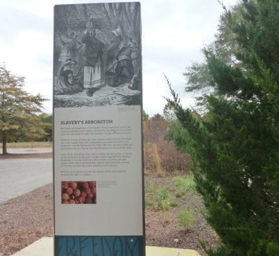 Adkins Arboretum Marker. Click for full size. Adkins Arboretum Marker image. Click for full size.
