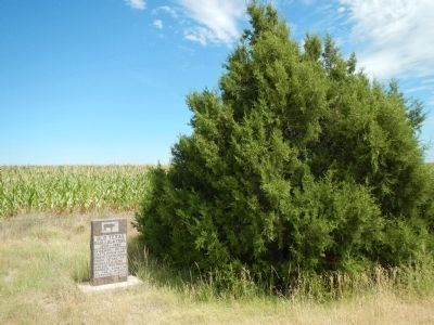 Old Texas Ogallala Trail Marker image. Click for full size.