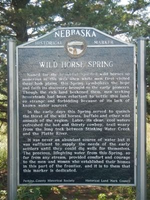Wild Horse Spring Marker image. Click for full size.