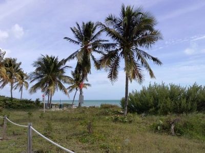 Virginia Key Beach image. Click for full size.