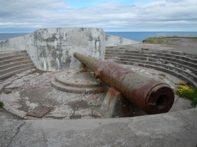 "Disappearing" Gun image. Click for full size.